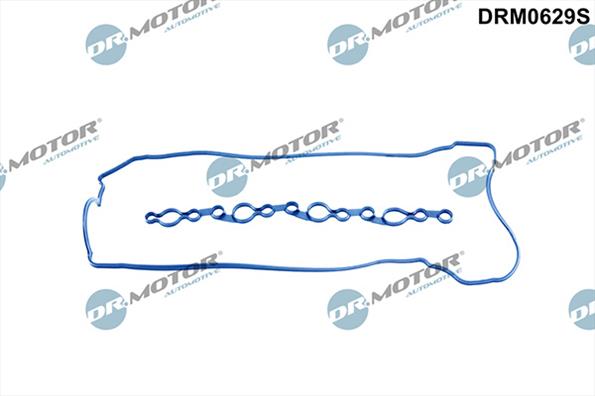 Gaskets DRM0629S