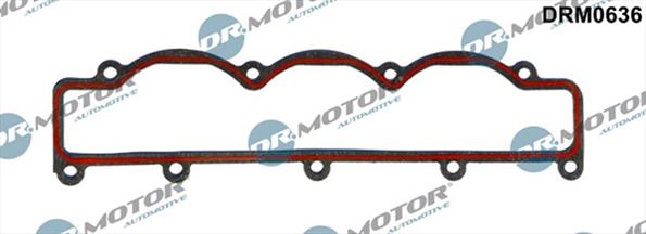 Gaskets DRM0636