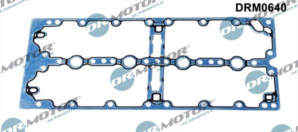 Gaskets DRM0640