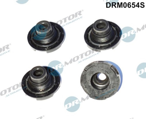 Gaskets DRM0654S