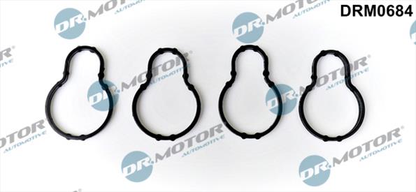 Gaskets DRM0684