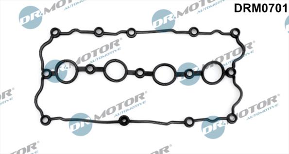Gaskets DRM0701