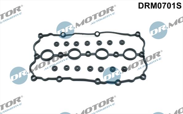 Gaskets DRM0701S