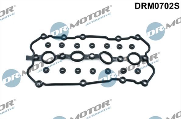 Gaskets DRM0702S