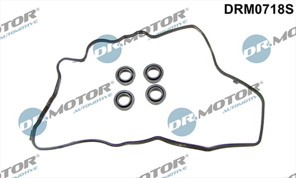 Gaskets DRM0718S