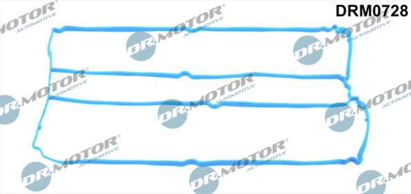 Gaskets DRM0728