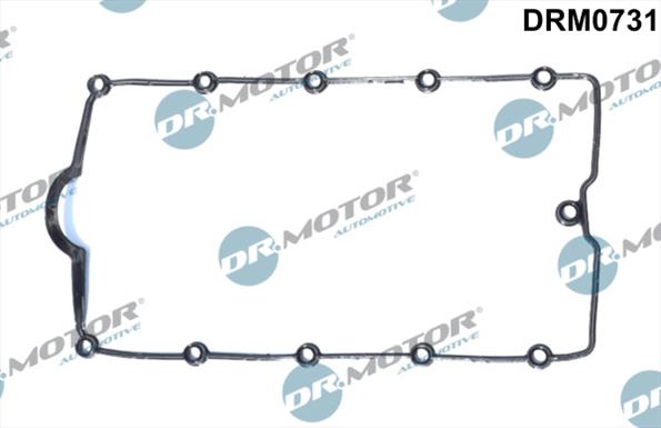 Gaskets DRM0731