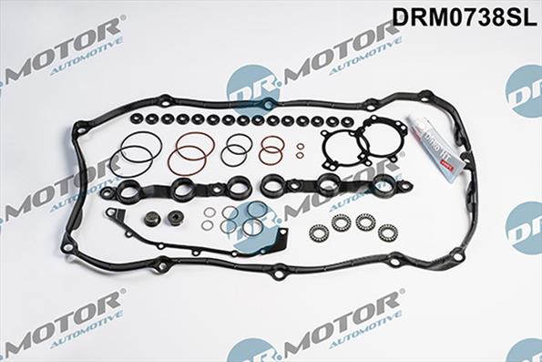 Gaskets DRM0738SL