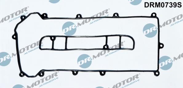 Gaskets DRM0739S