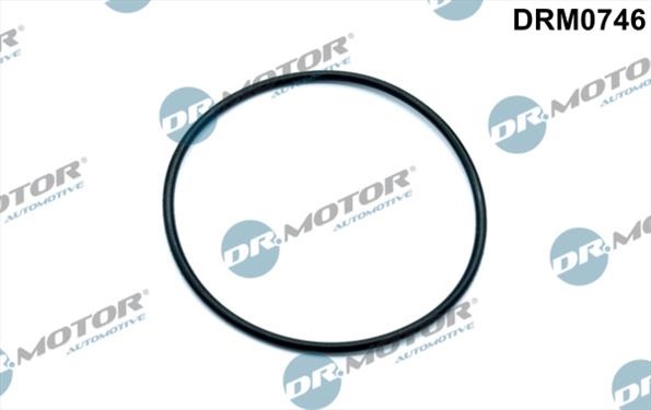 Gaskets DRM0746