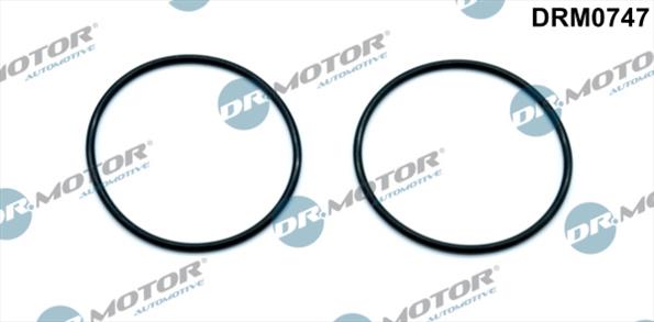 Gaskets DRM0747