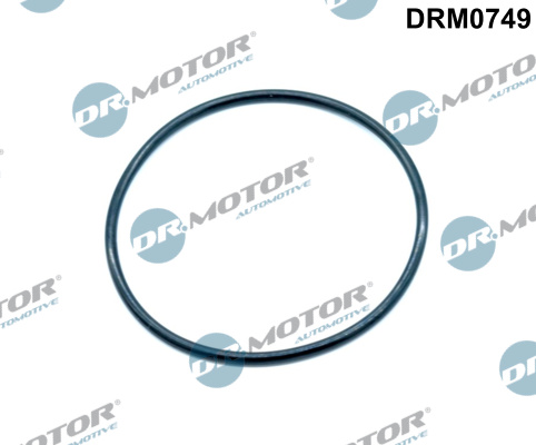 Gaskets DRM0749