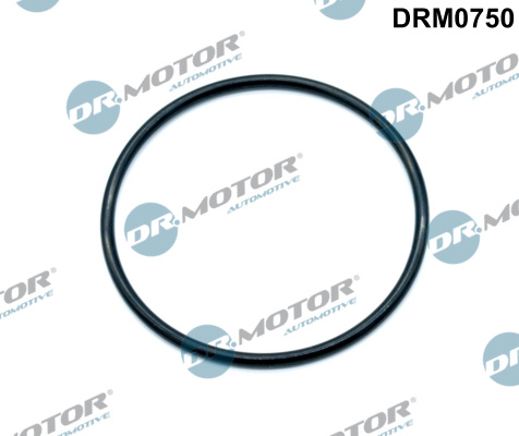 Gaskets DRM0750