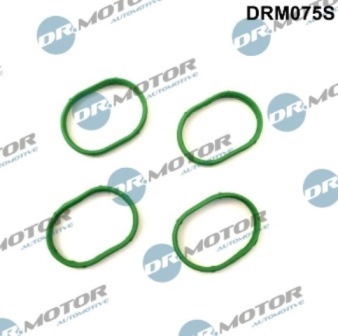 Gaskets DRM075S