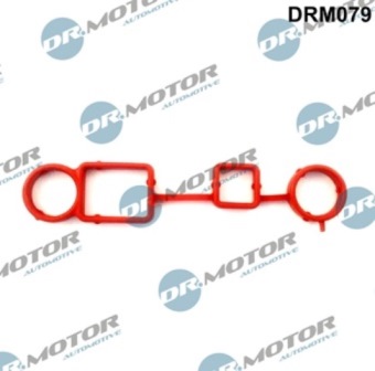 Gaskets DRM079