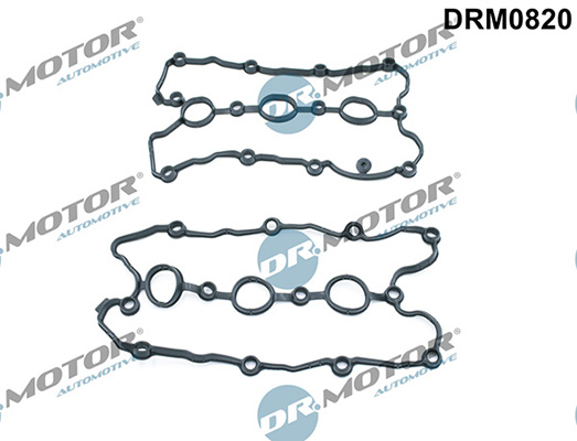 Gaskets DRM0820