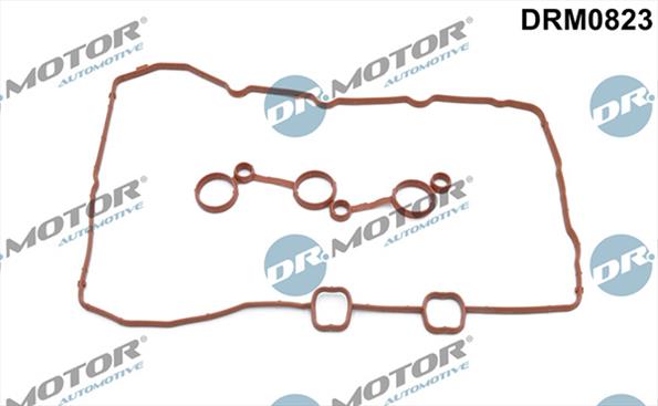 Gaskets DRM0823