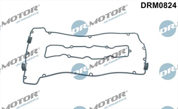 Gaskets DRM0824