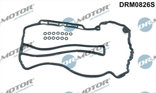 Gaskets DRM0826S