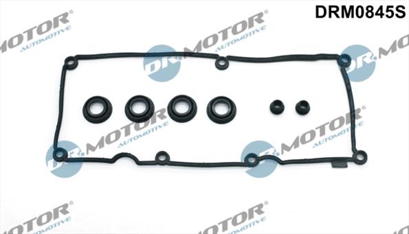 Gaskets DRM0845S