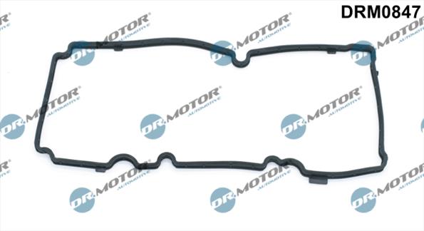 Gaskets DRM0847