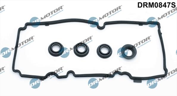 Gaskets DRM0847S