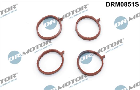 Gaskets DRM0851S