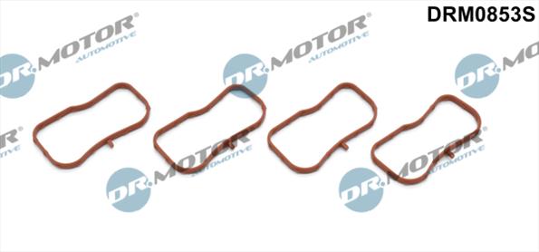 Gaskets DRM0853S