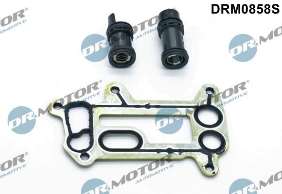 Gaskets DRM0858S