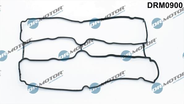 Gaskets DRM0900