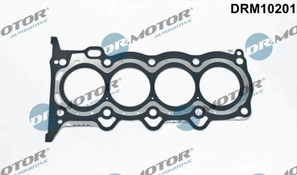 Gaskets DRM10201