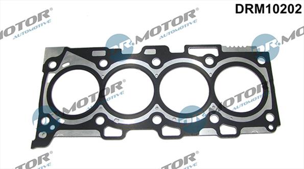 Gaskets DRM10202