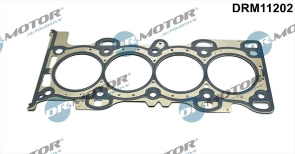 Gaskets DRM11202