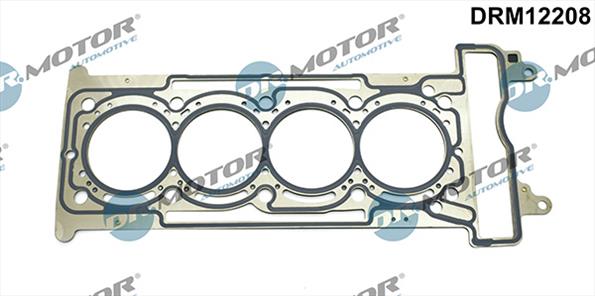 Gaskets DRM12208