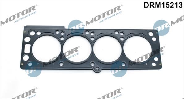 Gaskets DRM15213