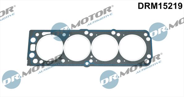 Gaskets DRM15219