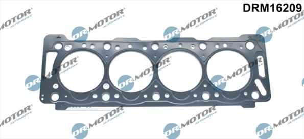 Gaskets DRM16209