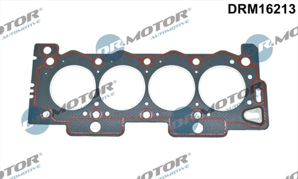 Gaskets DRM16213