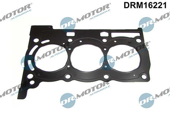 Gaskets DRM16221