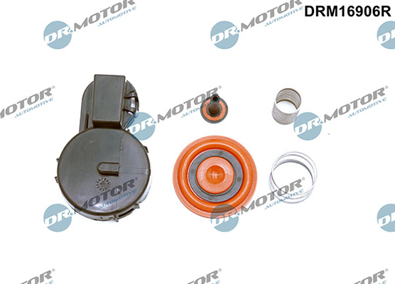 Motor DRM16906R