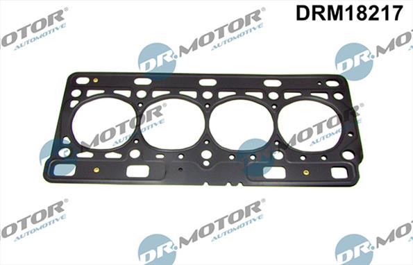 Gaskets DRM18217