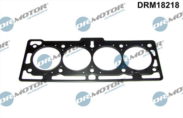 Gaskets DRM18218