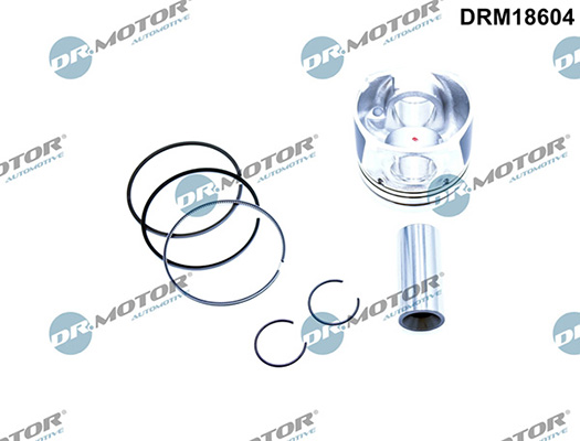 Motor DRM18604