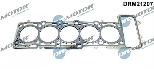 Gaskets DRM21207