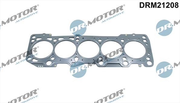 Gaskets DRM21208