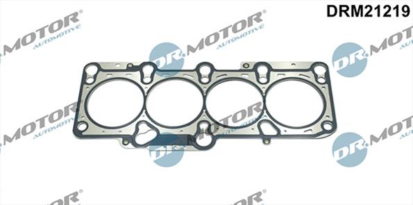 Gaskets DRM21219