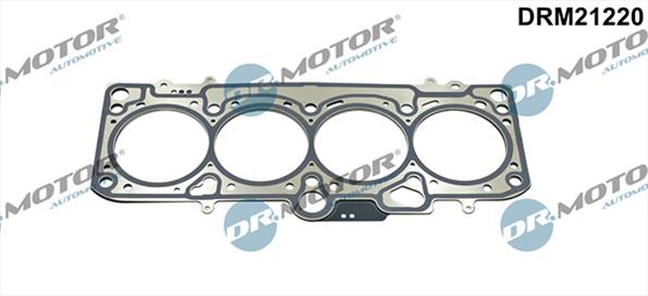 Gaskets DRM21220