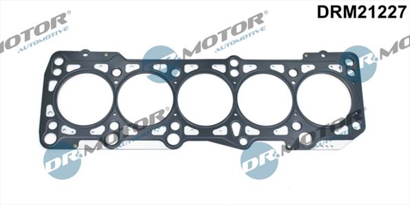 Gaskets DRM21227