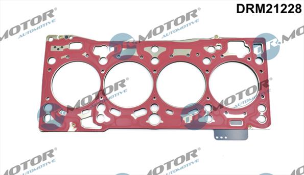 Gaskets DRM21228