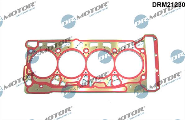 Gaskets DRM21230